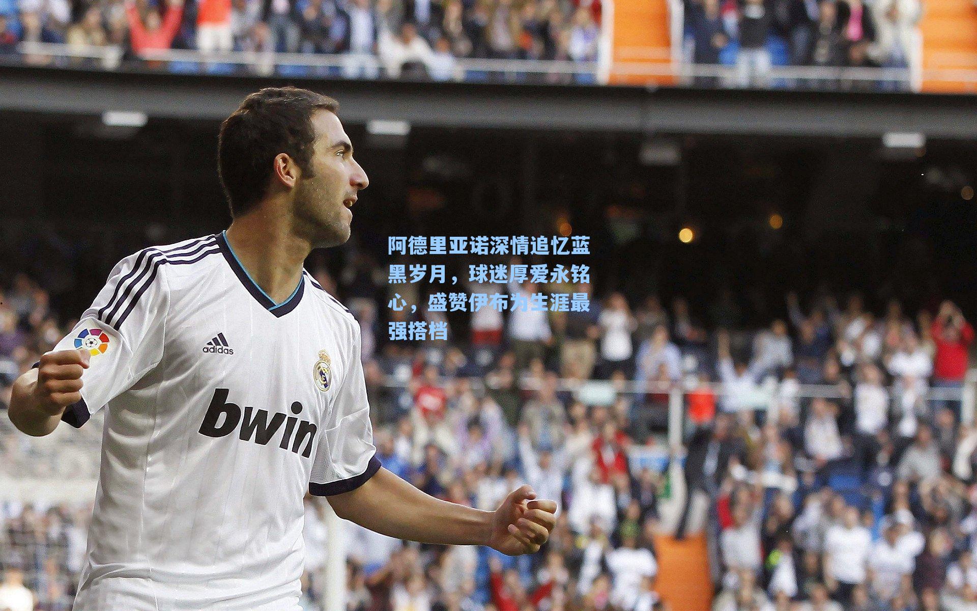 阿德里亚诺深情追忆蓝黑岁月，球迷厚爱永铭心，盛赞伊布为生涯最强搭档